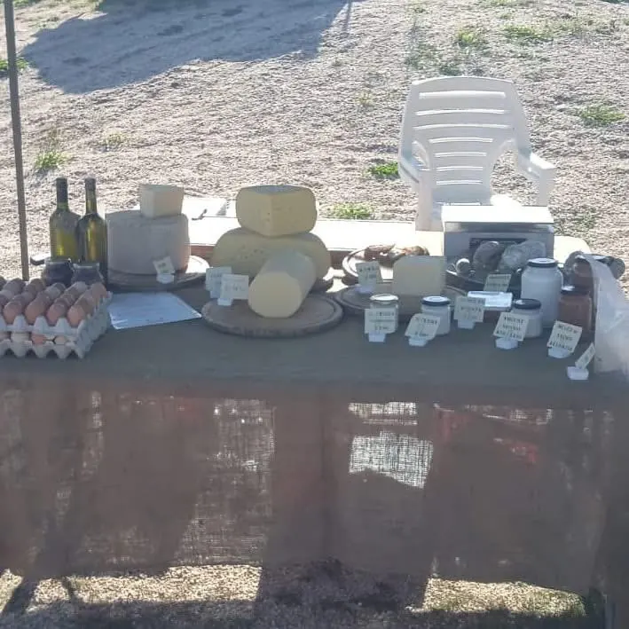 Picada con quesos y chacinados artesanales